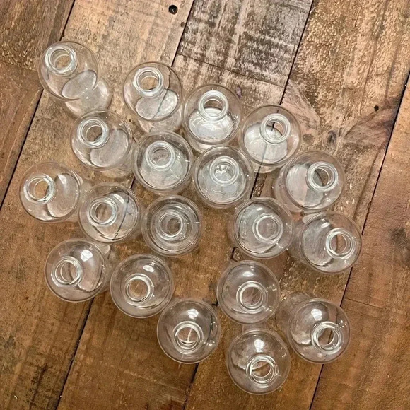 Set of 19 Small Propagation Jars - Picture 1 of 4